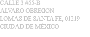 CALLE 3 #55-B ALVARO OBREGON LOMAS DE SANTA FE, 01219 CIUDAD DE MÉXICO